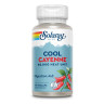 Капсули Solaray Cool Cayenne Pepper 40,000 HU 600mg - 90 vcaps 2023-10-6757