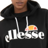 Худі Ellesse Torices SGS03244-011