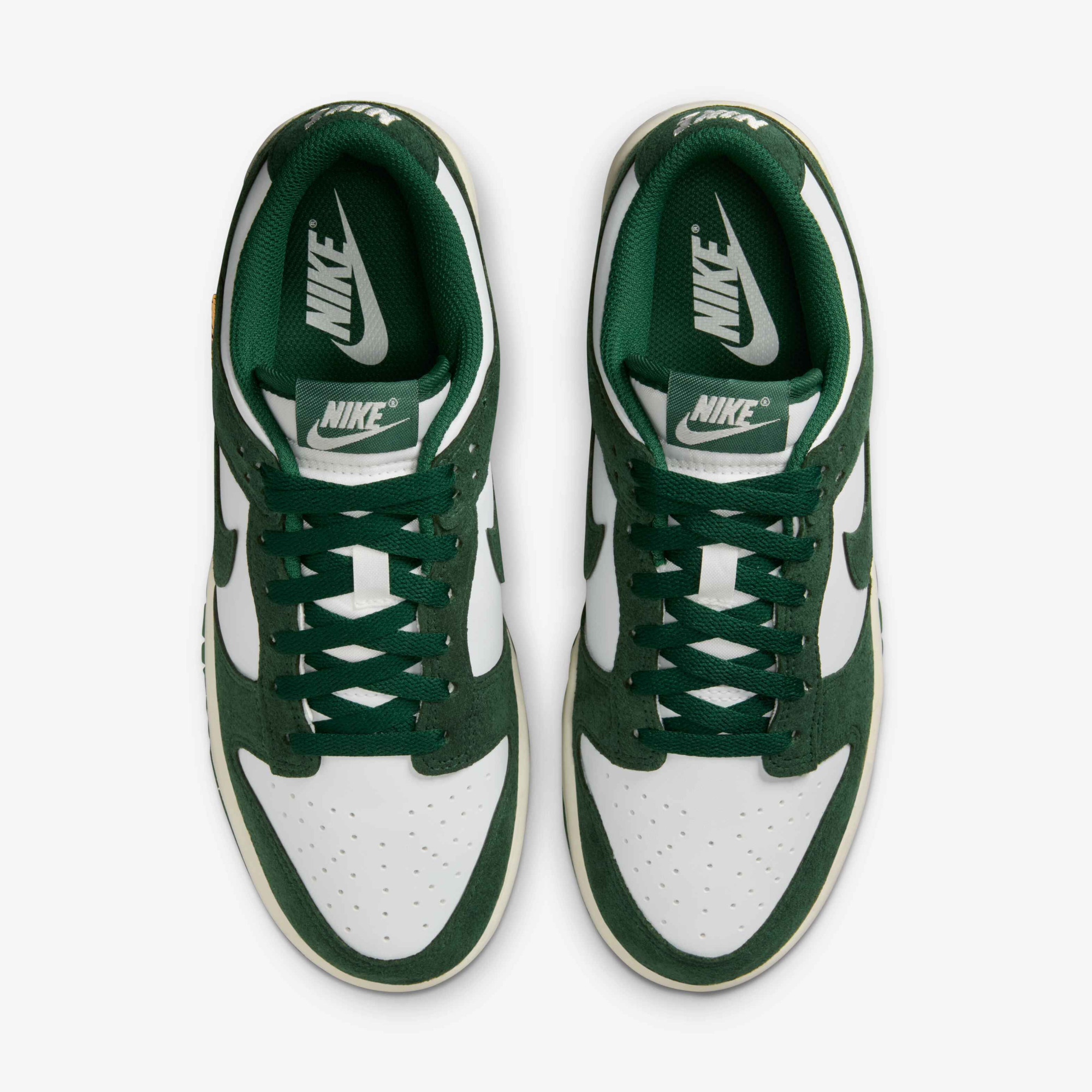 Кросівки Nike WMNS DUNK LOW IB4417-100