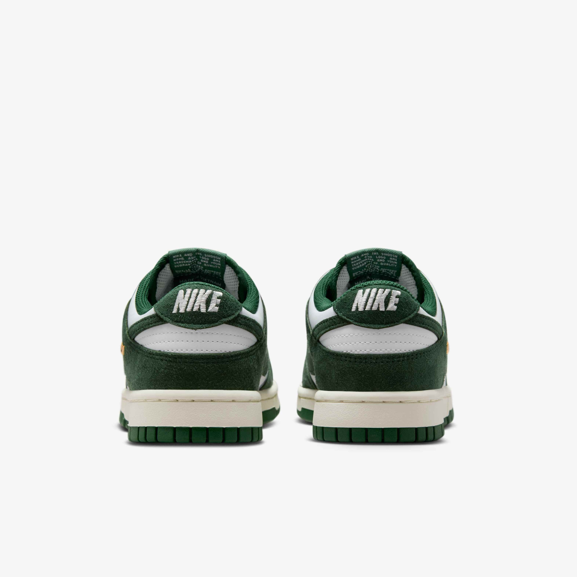 Кросівки Nike WMNS DUNK LOW IB4417-100