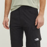 Шорти Exploration Cargo Short 0A8BGGJK31 THE NORTH FACE 30 Чорний 0A8BGGJK31