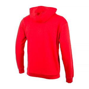 Худі JEEP HOODED SWEATSHIRT O102566-R699