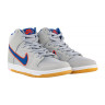 Кросівки Nike SB DUNK HIGH PRM DH7155-001