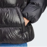 Куртка Adicolor Down Regen IW3454