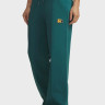 Штани Sport Terry Trend Pant 6010916-338 Under Armour XS Зелений 6010916-338
