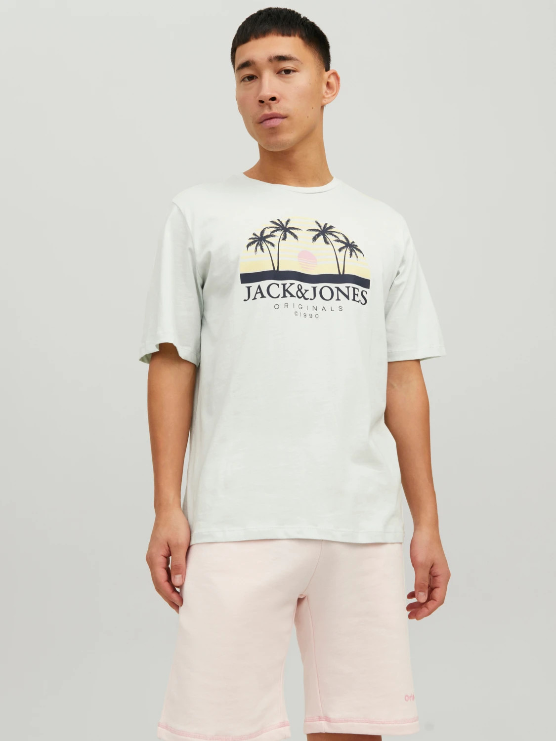 Футболка JORCODY SUMMER TEE SS CREW NECK 12235154-Pale Blue Jack&Jones M Фісташковий 12235154-Pale Blue