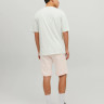 Футболка JORCODY SUMMER TEE SS CREW NECK 12235154-Pale Blue Jack&Jones M Фісташковий 12235154-PALE BLUE
