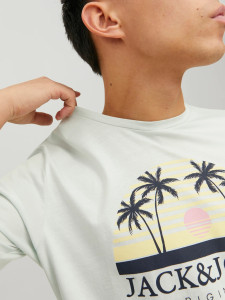 Футболка JORCODY SUMMER TEE SS CREW NECK 12235154-Pale Blue Jack&Jones M Фісташковий 12235154-PALE BLUE