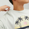 Футболка JORCODY SUMMER TEE SS CREW NECK 12235154-Pale Blue Jack&Jones M Фісташковий 12235154-PALE BLUE