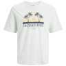 Футболка JORCODY SUMMER TEE SS CREW NECK 12235154-Pale Blue Jack&Jones M Фісташковий 12235154-PALE BLUE