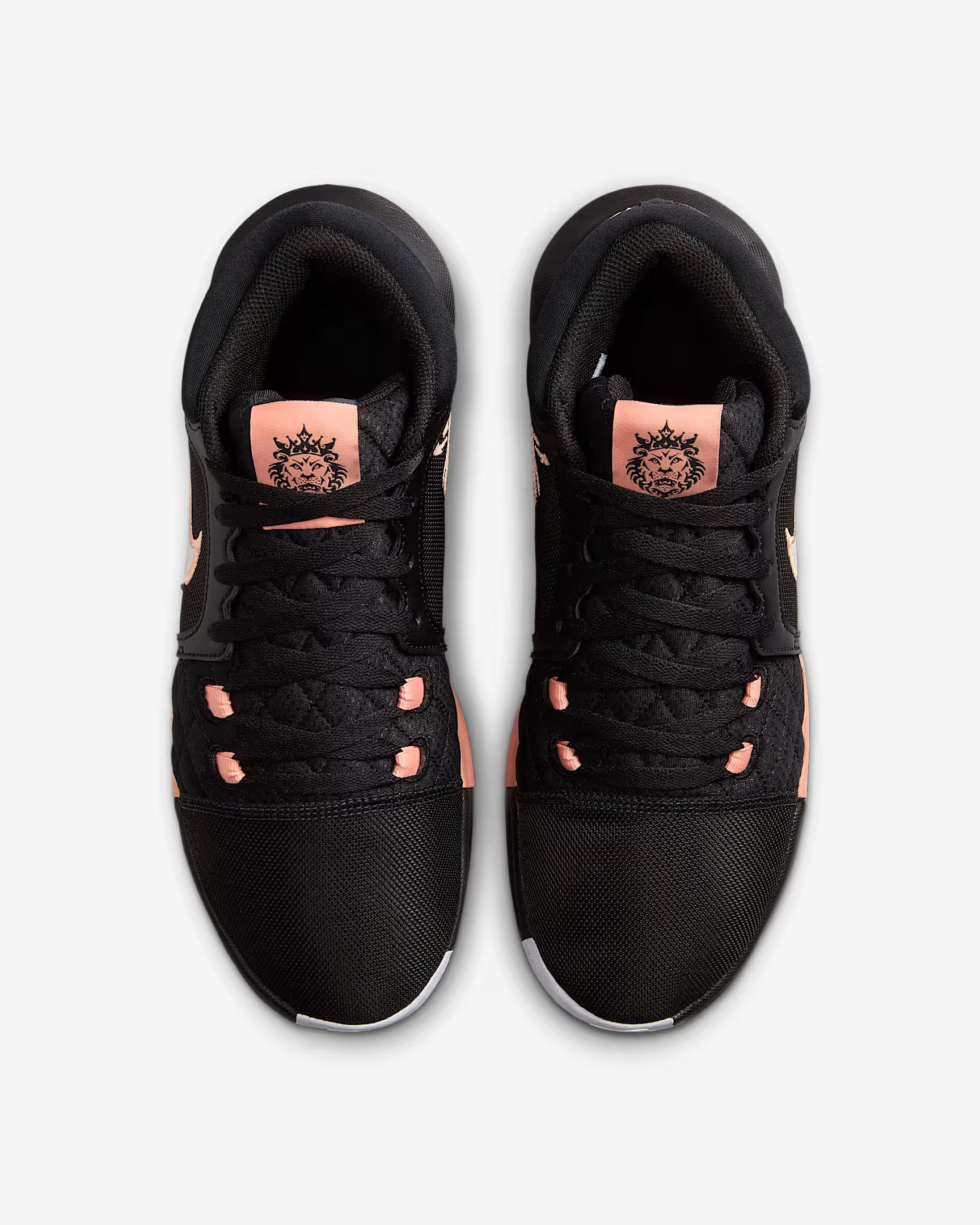 Кросівки Nike Air Jordan LeBron Witness VIII HQ2139-001