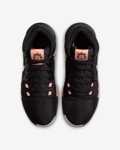 Кросівки Nike Air Jordan LeBron Witness VIII HQ2139-001