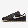 Nike Dunk Low Next Nature Brown/Black HF9984-001