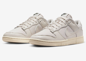 Кросівки Nike DUNK LOW HQ3821-104