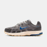 Кросівки Nike P-6000 CD6404-030