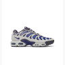 Кросівки Nike Air Max Plus Drift Blue/Grey FD4290-007 41 FD4290-007