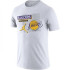 Футболка Air Jordan NBA Dri-FIT Los Angeles Lakers DA6628-010