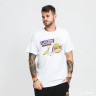 Футболка Air Jordan NBA Dri-FIT Los Angeles Lakers DA6628-010