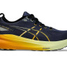Кросівки чоловічі Asics GEL-KAYANO 31 1011B867-403 1011B867-403