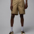 Шорти Jordan Essentials Statement Chicago HF9365-257