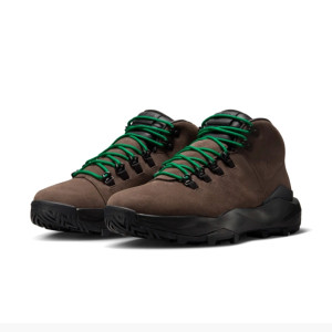 Черевики Nike CYGNAL FV4332-200
