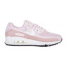 Кросівки Nike AIR MAX 90 DH8010-600