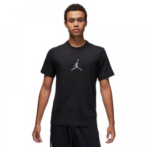 Футболка Jordan Brand Graphic Tee FD7029-010