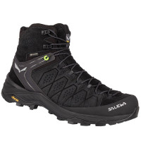 Черевики Salewa MS Alp Trainer 2 Mid GTX 013.001.5001
