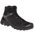 Черевики Salewa MS Alp Trainer 2 Mid GTX 013.001.5001