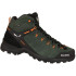 Черевики Salewa MS Alp Mate Mid WP 013.001.5873
