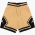 Шорти Air Jordan Dri-Fit Woven Diamond Short FB7580-734