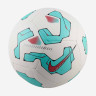 М'яч футбольний Nike Pitch Team FZ2636-103