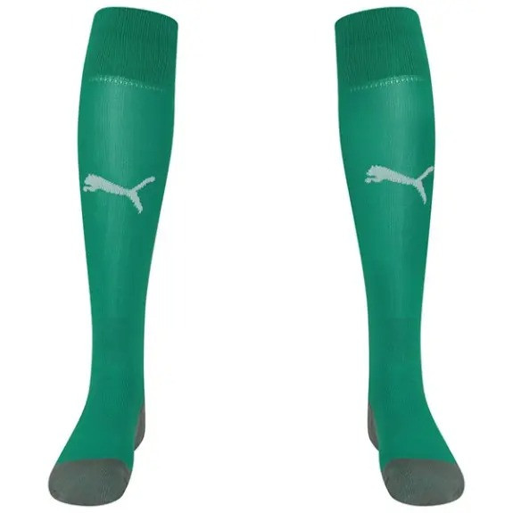 Гетри Puma Team LIGA Socks CORE зелений Уні DT-703441-05, Цвет зелений, Размер (Европа) - 31-34 DT-703441-05