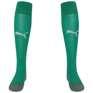 Гетри Puma Team LIGA Socks CORE зелений Уні DT-703441-05, Цвет зелений, Размер (Европа) - 31-34 DT-703441-05
