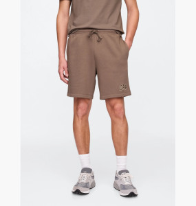 Шорти чоловічі Gap Logo Shorts Brown 735029011 L 735029011