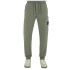 Штани STONE ISLAND Sweatspant  green 801564551 V0059