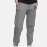 Штани чоловічі Nike Air Jordan Jumpman Classics Fleece Pants Gray BV6008-091