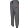 Штани чоловічі Nike Air Jordan Jumpman Classics Fleece Pants Gray BV6008-091