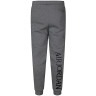 Штани чоловічі Nike Air Jordan Jumpman Classics Fleece Pants Gray BV6008-091