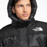 Куртка HMLYN INS PARKA TNF NF0A4QZ5JK31 THE NORTH FACE S Чорний NF0A4QZ5JK31