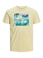 Футболка JORSUITE TEE SS CREW NECK 12171675 Flan Jack&Jones XL Жовтий 12171675FLAN