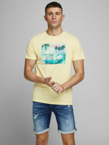Футболка JORSUITE TEE SS CREW NECK 12171675 Flan Jack&Jones XL Жовтий 12171675FLAN