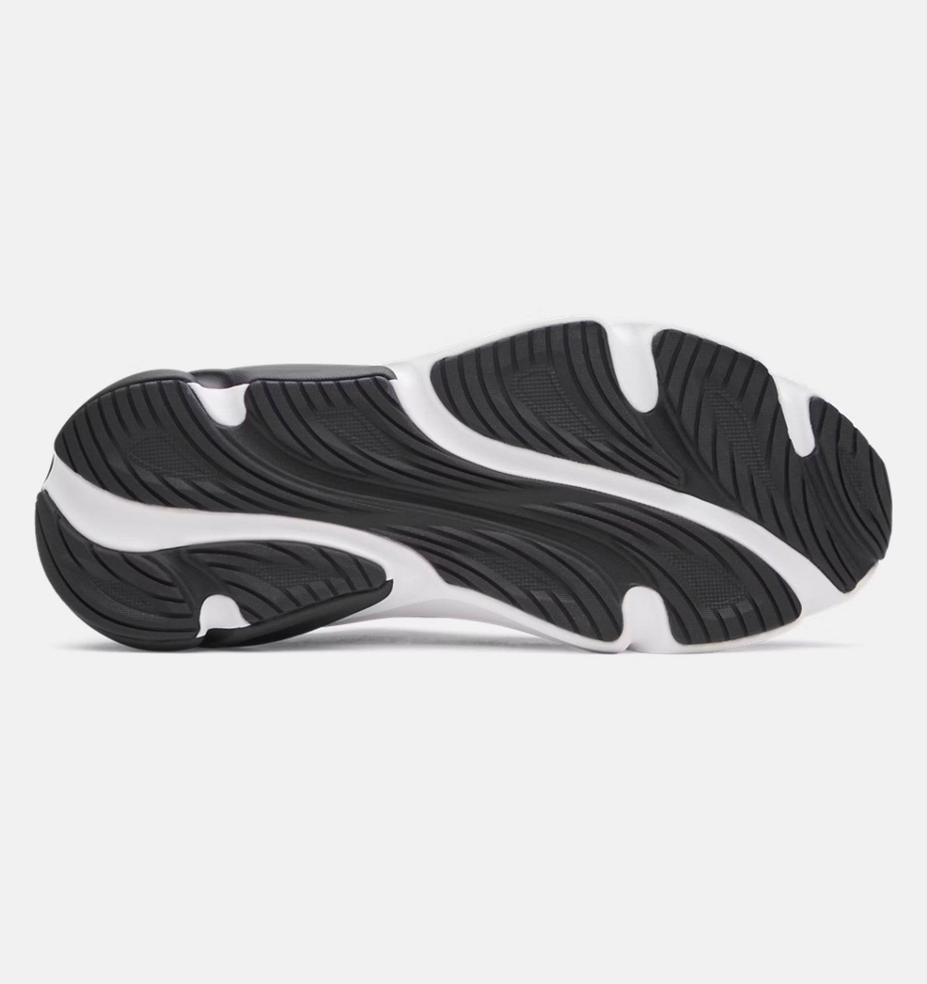 Кросівки Under Armour Charged+ Rogue 6 6006719-001