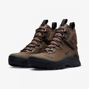 Кросівки Nike ACG ZOOM GAIADOME GORE-TEX DD2858-200