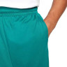 Шорти Nike Dri-Fit DH6763-367