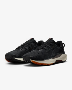 Кросівки Nike Pegasus Trail 5 DV3864-006