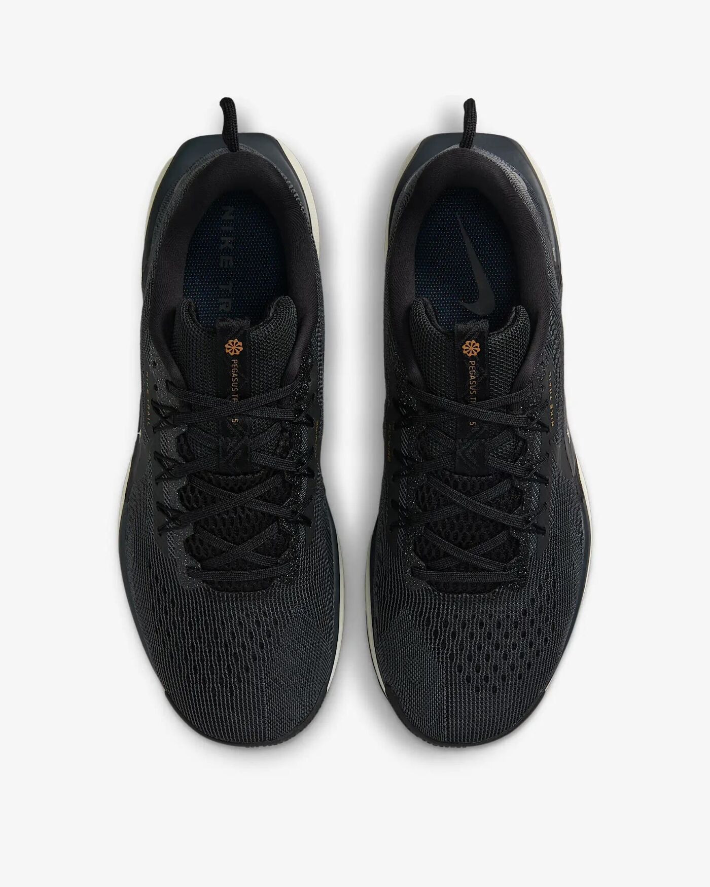 Кросівки Nike Pegasus Trail 5 DV3864-006