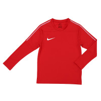Кофта Nike DRILL TOP CREW P A R K 1 8 AA2089-657
