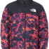 Пуховик The North Face Print Nuptse NF0A5IX429K