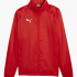 Куртка Puma teamGOAL All Weather Jacket 659038-01
